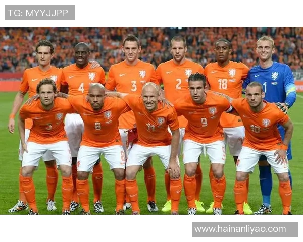 意大利与荷兰精彩对决现场视频回顾与分析